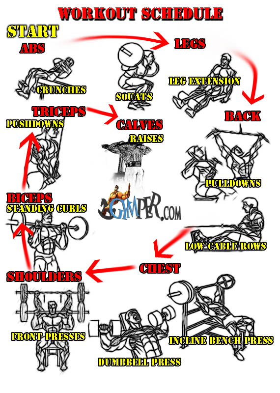 SEARCH AND BUY THIS PRODUCT Weekly Gym Workout Schedule