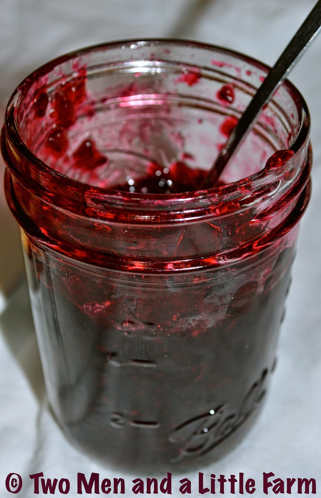 Two Men and a Little Farm EASY DEWBERRY JAM RECIPE