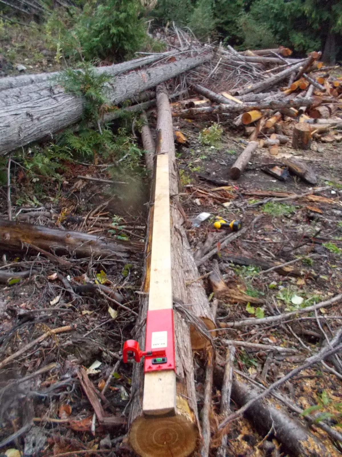 the adventures of ryan testing the beam machine