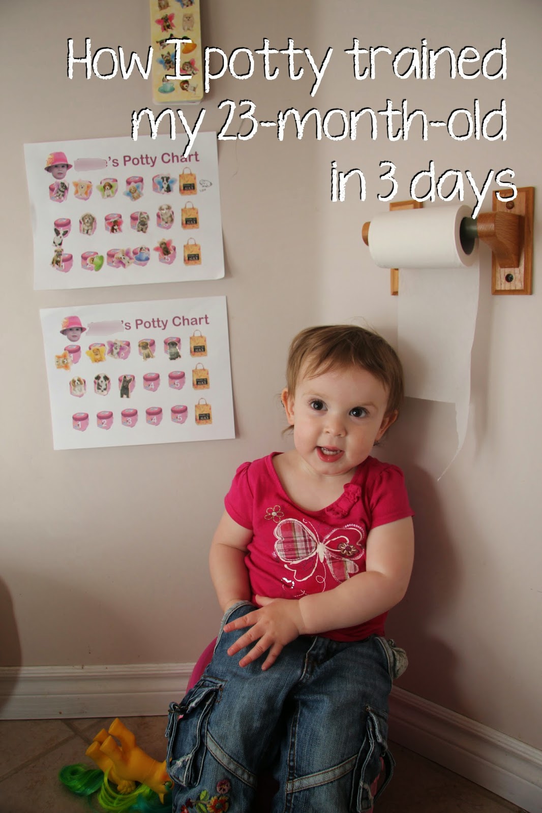 diy potty training chart