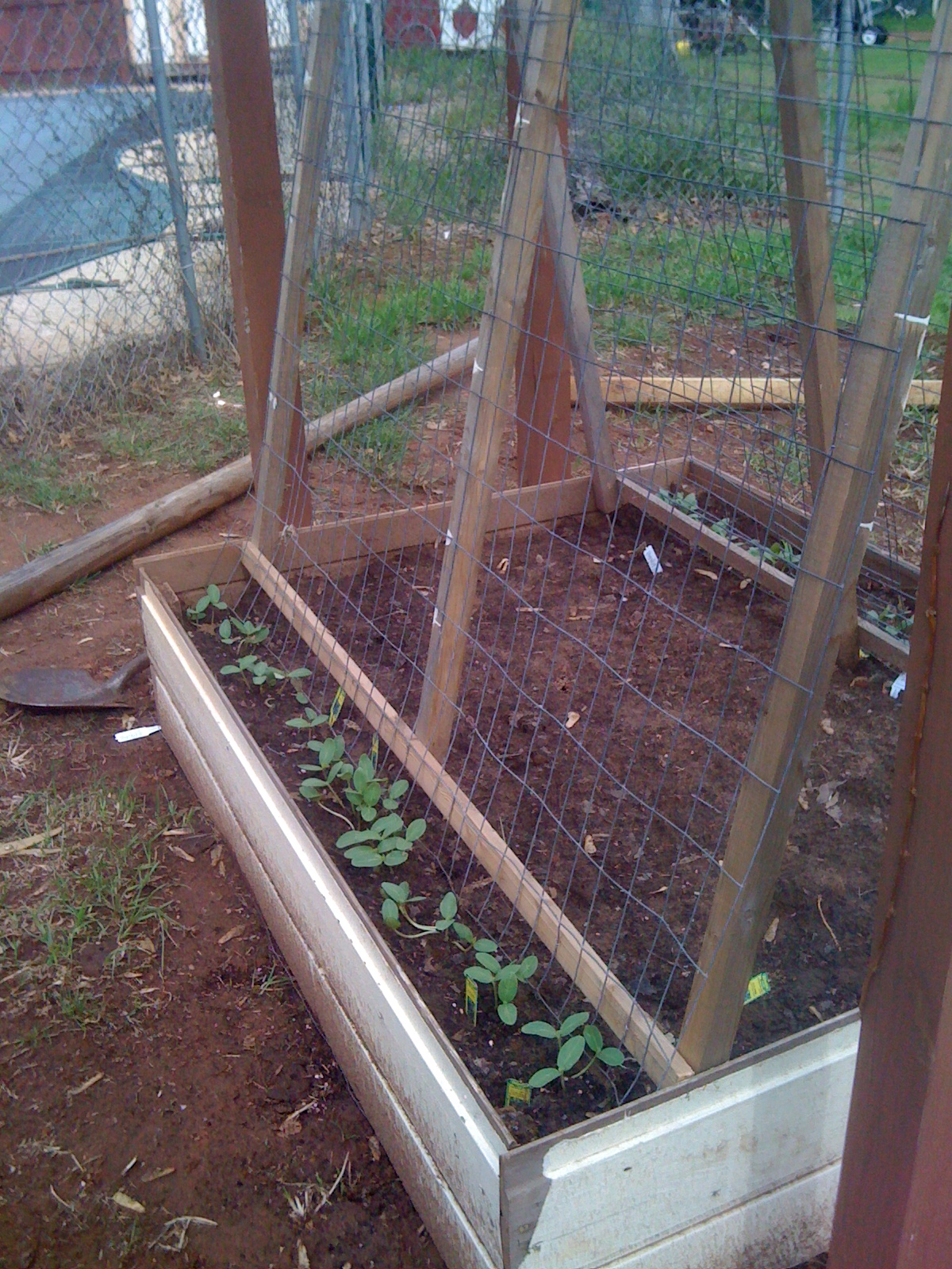 Beau's Oklahoma Raised Bed Garden Cucumber Raised Bed Idea