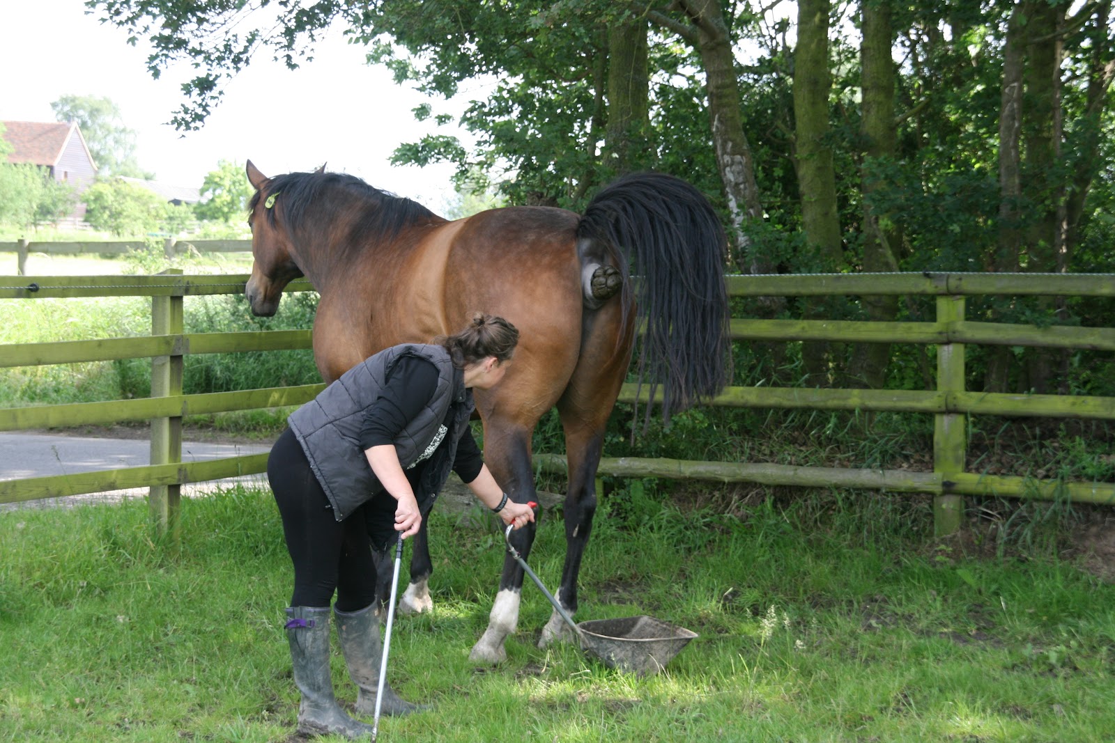TRAKEHNERS CAN JUMP TCJpart65 The Poo Edition!