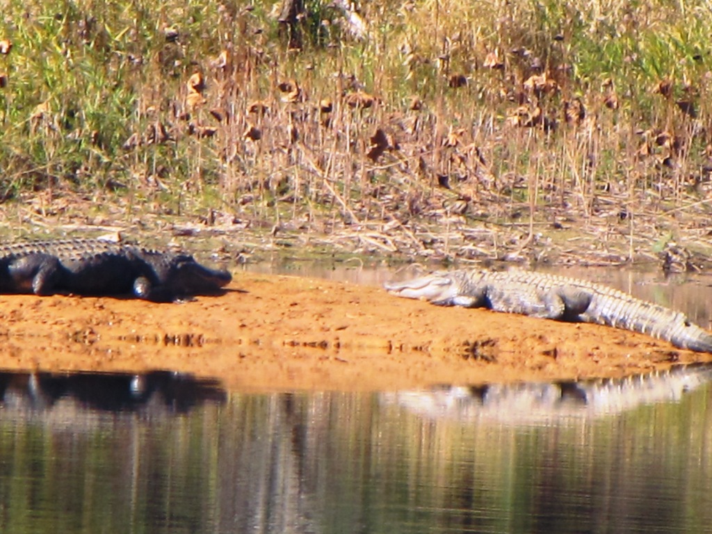 On the road with Mike and Tina Adventures in Eufaula