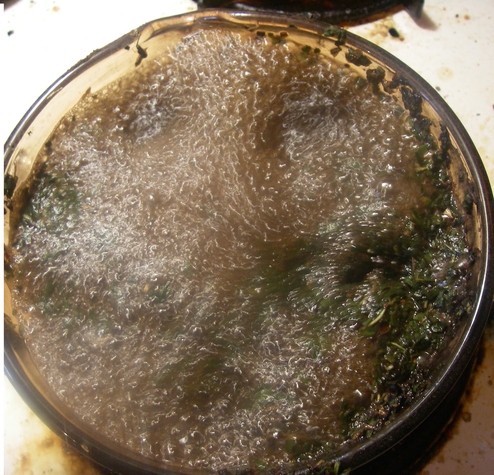 Trey Capnerhurst's Blog How to Brew your Medicinal Tea A Quick Refresher!