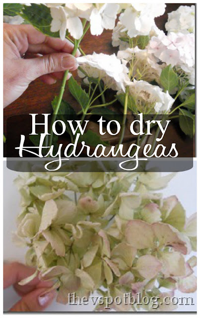 how to dry hydrangeas
