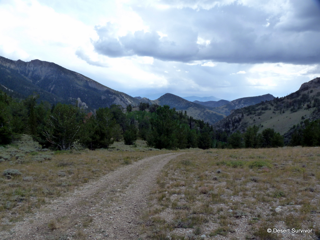 Desert Survivor Mount Moriah