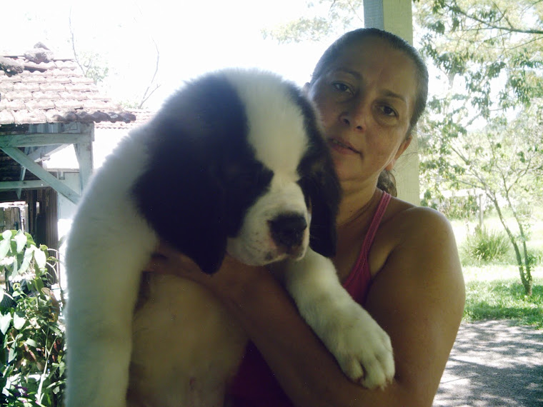 Macho 05:Disponível