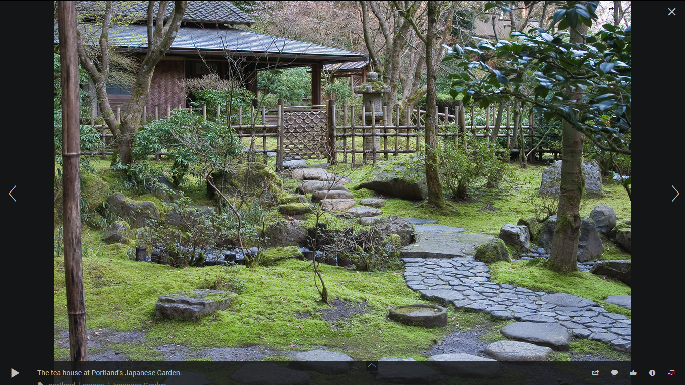 Hommy Backyard Japanese Tea House Garden