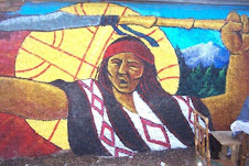 Nación mapuche: AMUL WEICHAN, NEWEN PU PEÑI, PU LAMGEN