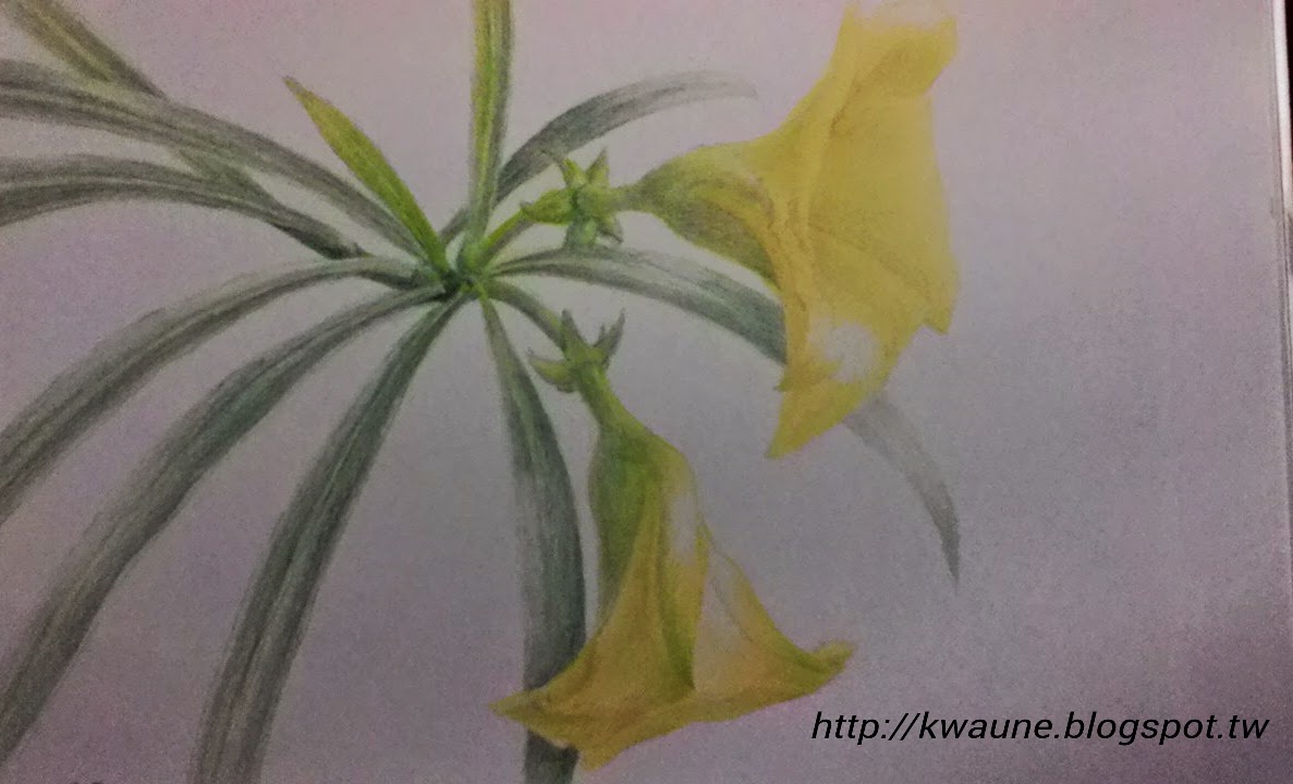 色鉛筆畫 (Colored pencil drawing)