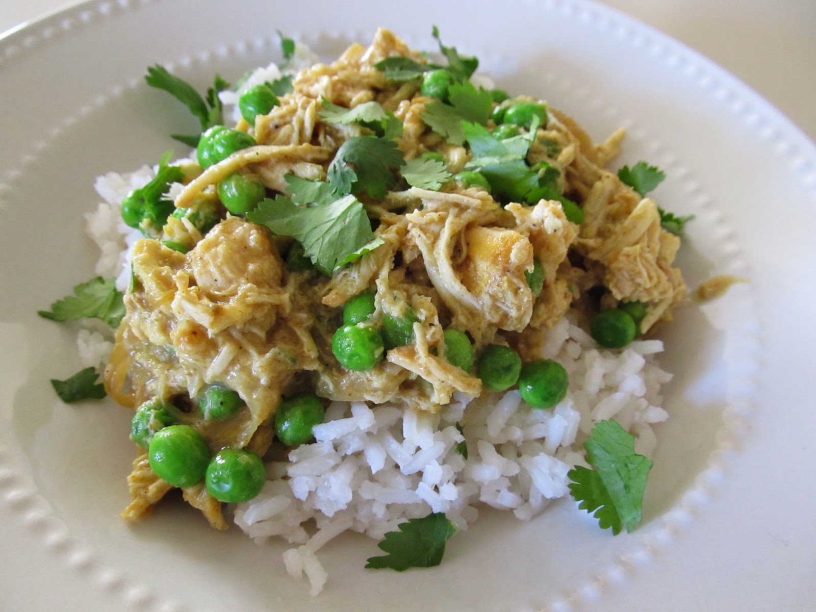 Foodie Family Slow Cooker Curry