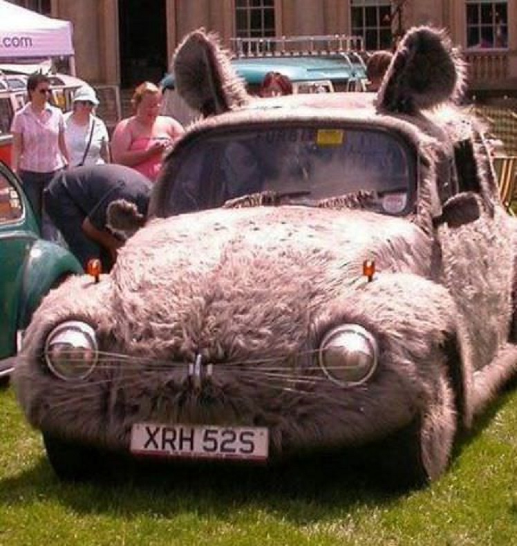 Not a VW bug...It's a VW mouse ~