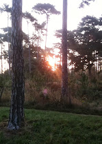 Au revoir au lever de soleil de bord de mer, bonjour au lever de soleil dans le Bois de Boulogne