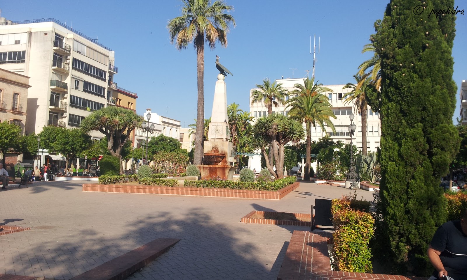JEREZ DE LA FRONTERA PLAZA jerez de la frontera plaza: