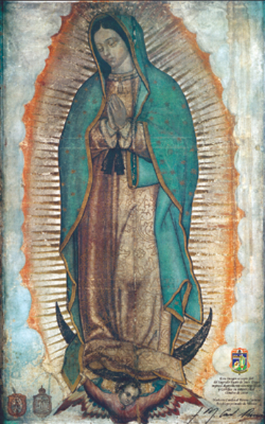 La Vergine Nostra Signora Di Guadalupe