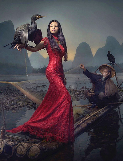 Portraits avec cormorans par Tim Chan