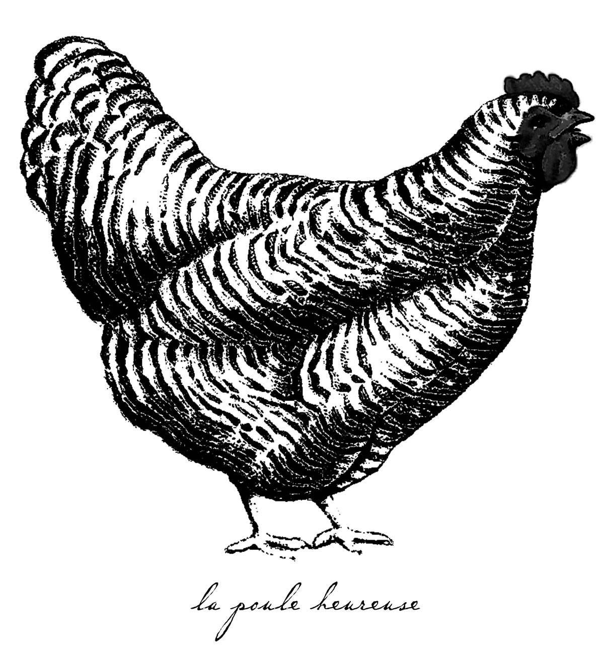 download Global Analysis