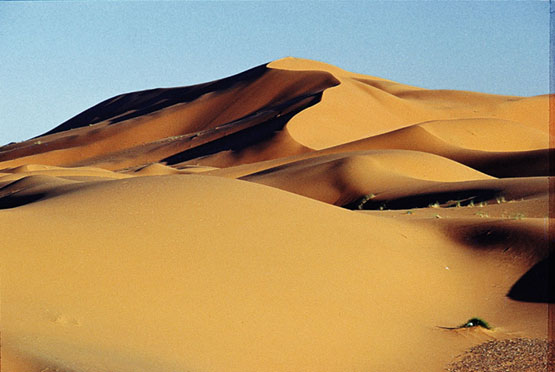 Deserto