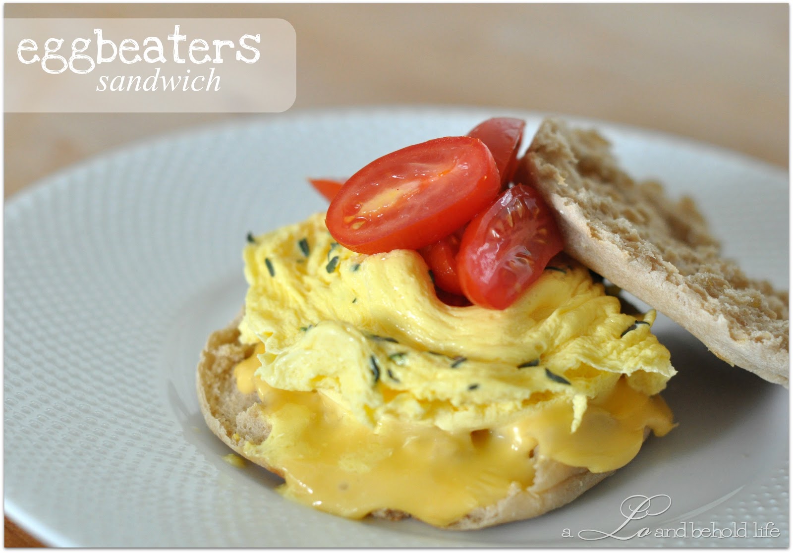 The Incredible Edible Egg Beater A Lo and Behold Life