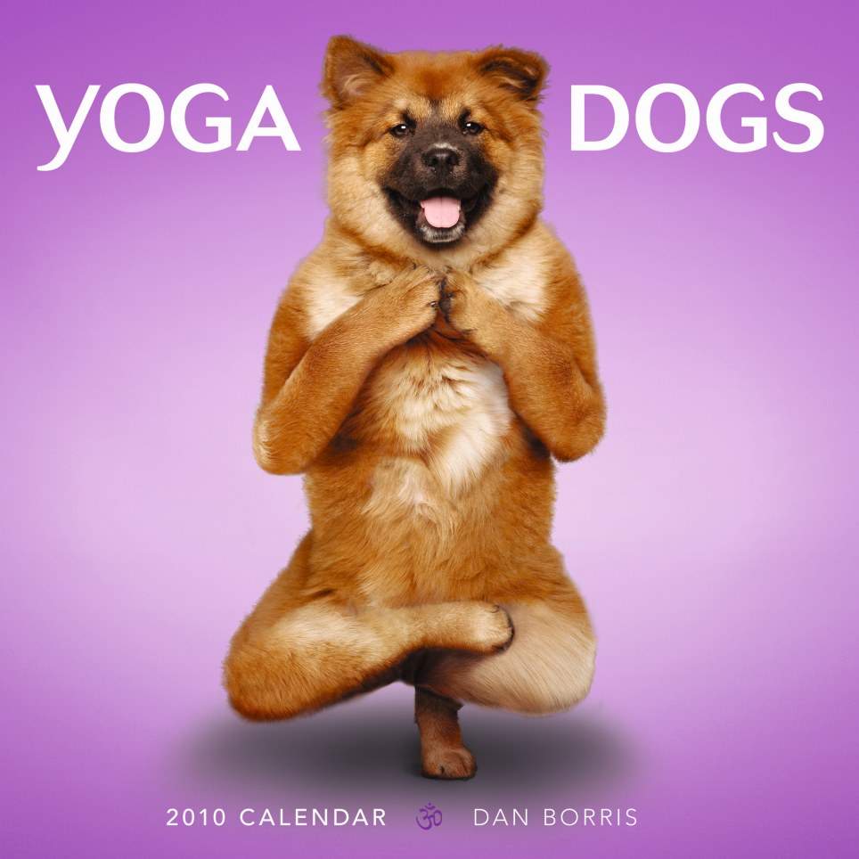 Yoga Dog