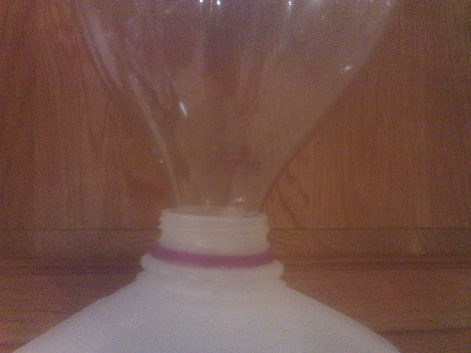 Chicken Wranglers Plastic Bottle, Funnel, Planter