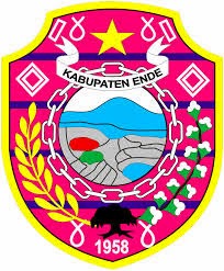Pengumuman Seleksi CPNS Kabupaten Ende tahun 2014 Pengumuman Seleksi CPNS Kabupaten Ende tahun 2014