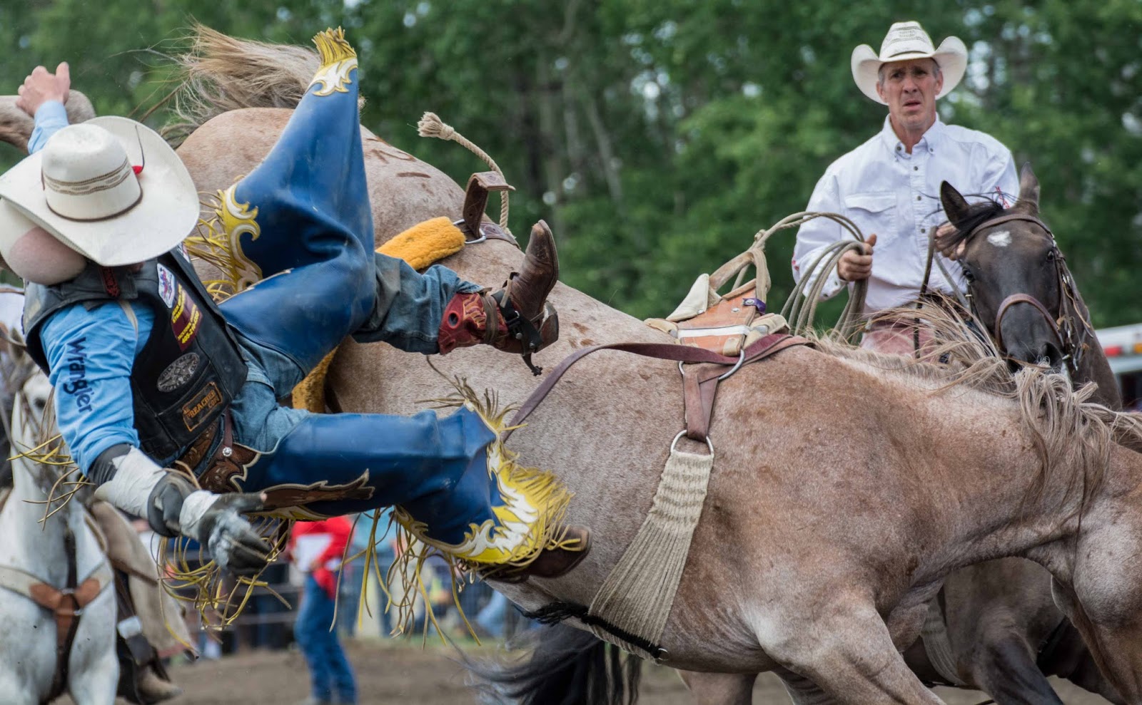 Great Alberta horseman Rodeo pickup man Marty's Road Trip