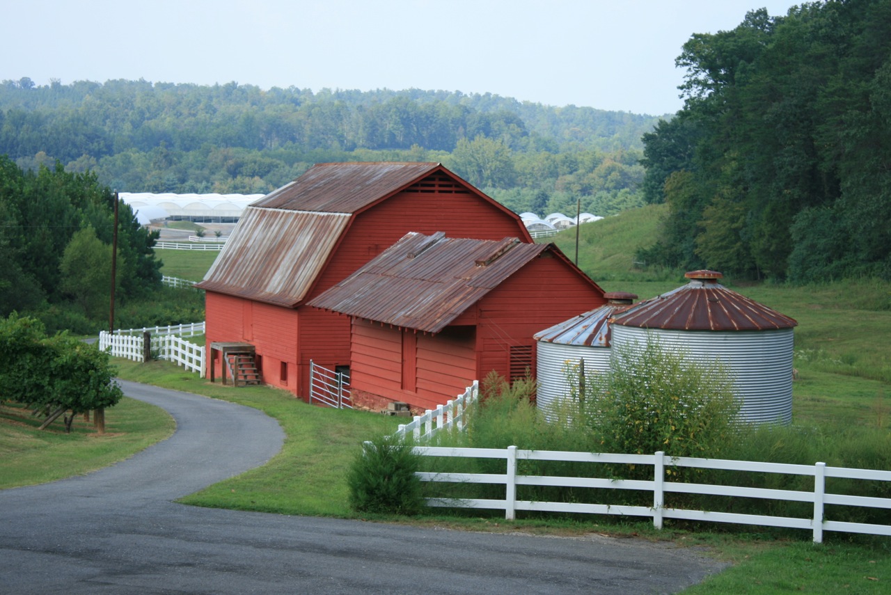 The Stir Crazy Moms' Guide to Durham North Carolina Wine Country