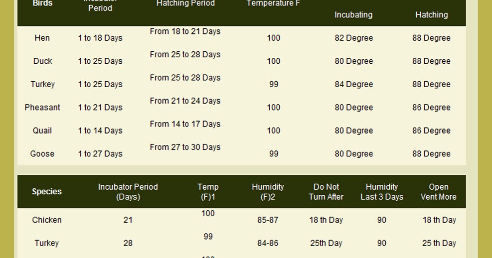 Incu Instant get Incubation period for canary eggs