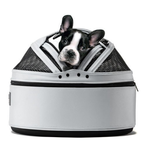 Best Travel Carrier For Cats Best Travel Carrier For Cats