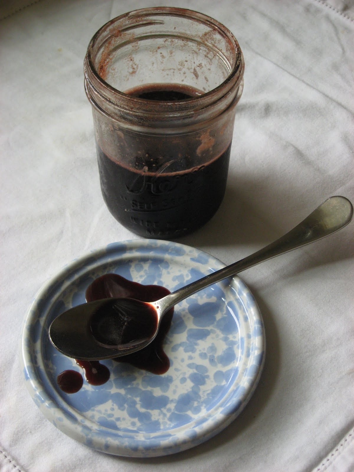 Recipes to Nourish Elderberry & Rose Hip Syrup