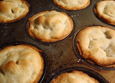 apple cranberry pie brown sugar pop tart apple cranberry pie brown sugar pop tart