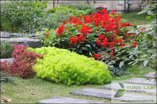 Thiết kế hồ cá Koi đẹp, sân vườn Splendora với hồ cá Koi mini, cá Koi Nhật thân thiện Thiết kế hồ cá Koi đẹp, sân vườn Splendora với hồ cá Koi mini, cá Koi Nhật thân thiện