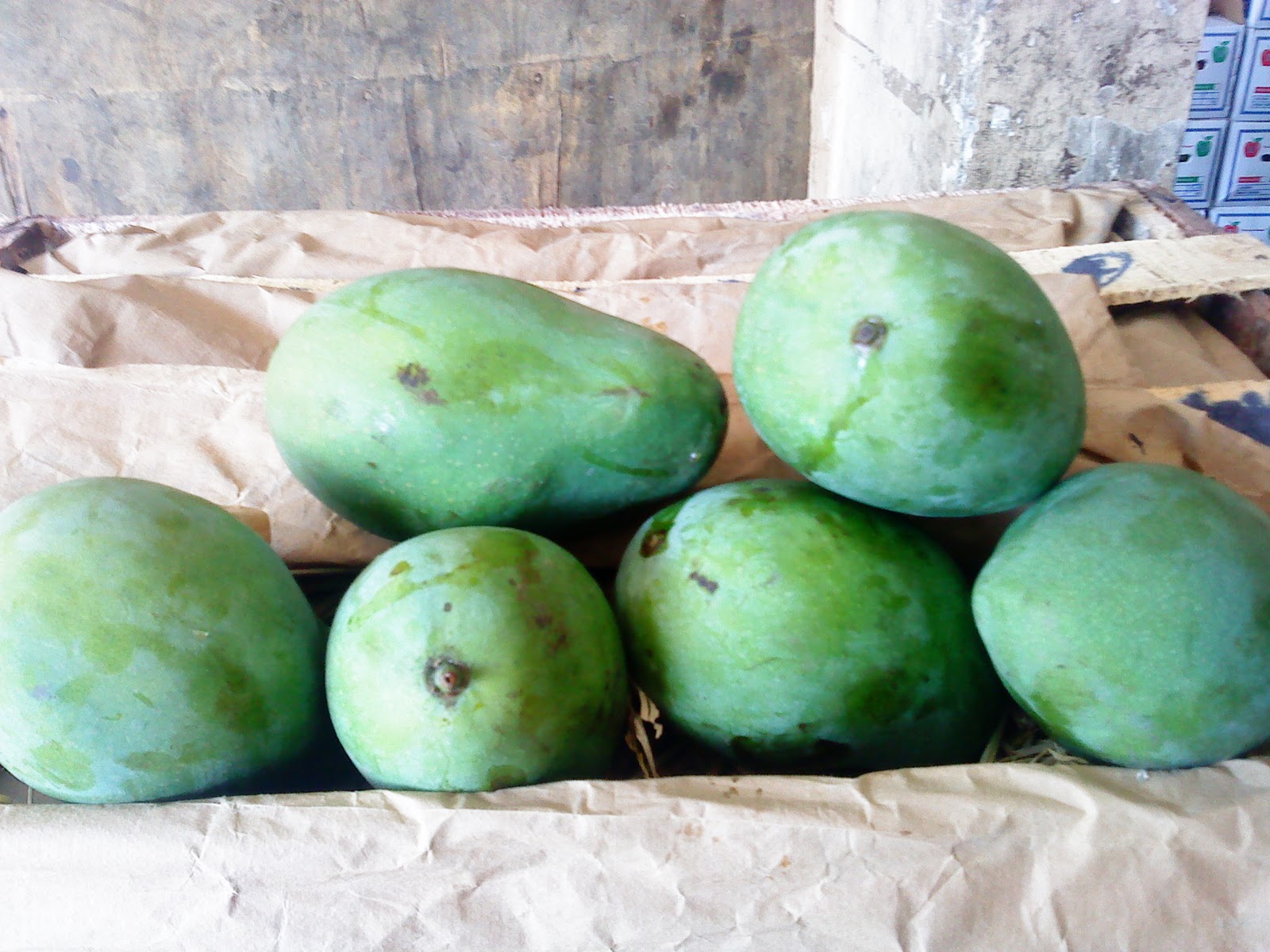Indonesian Fruit Fruiting mango bananas