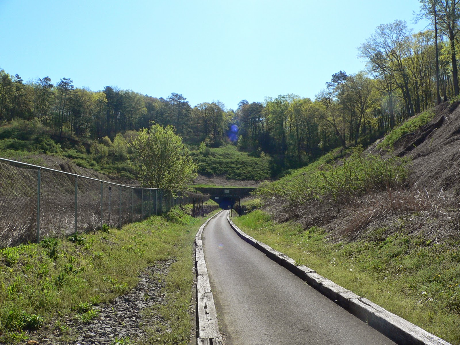 Ancestral Ties Tunnel Hill, Varnell Station, and Dalton,