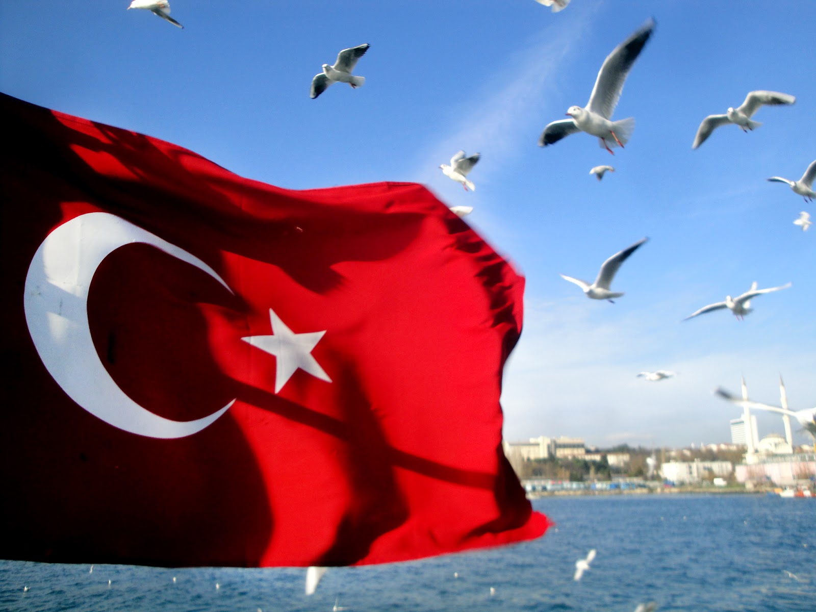 manzarali turk bayraklari 5