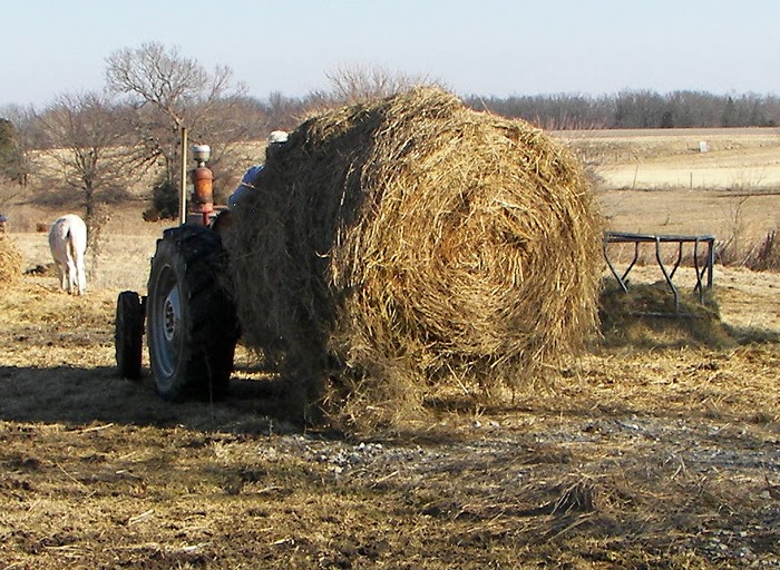 The Small Hold - Will Not Go Down Without a Fight: Moving Round Bales