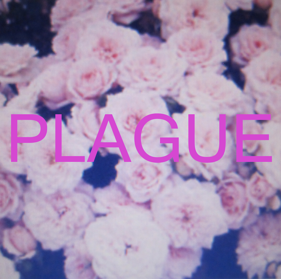 plague crystal castles lyrics plague crystal castles lyrics