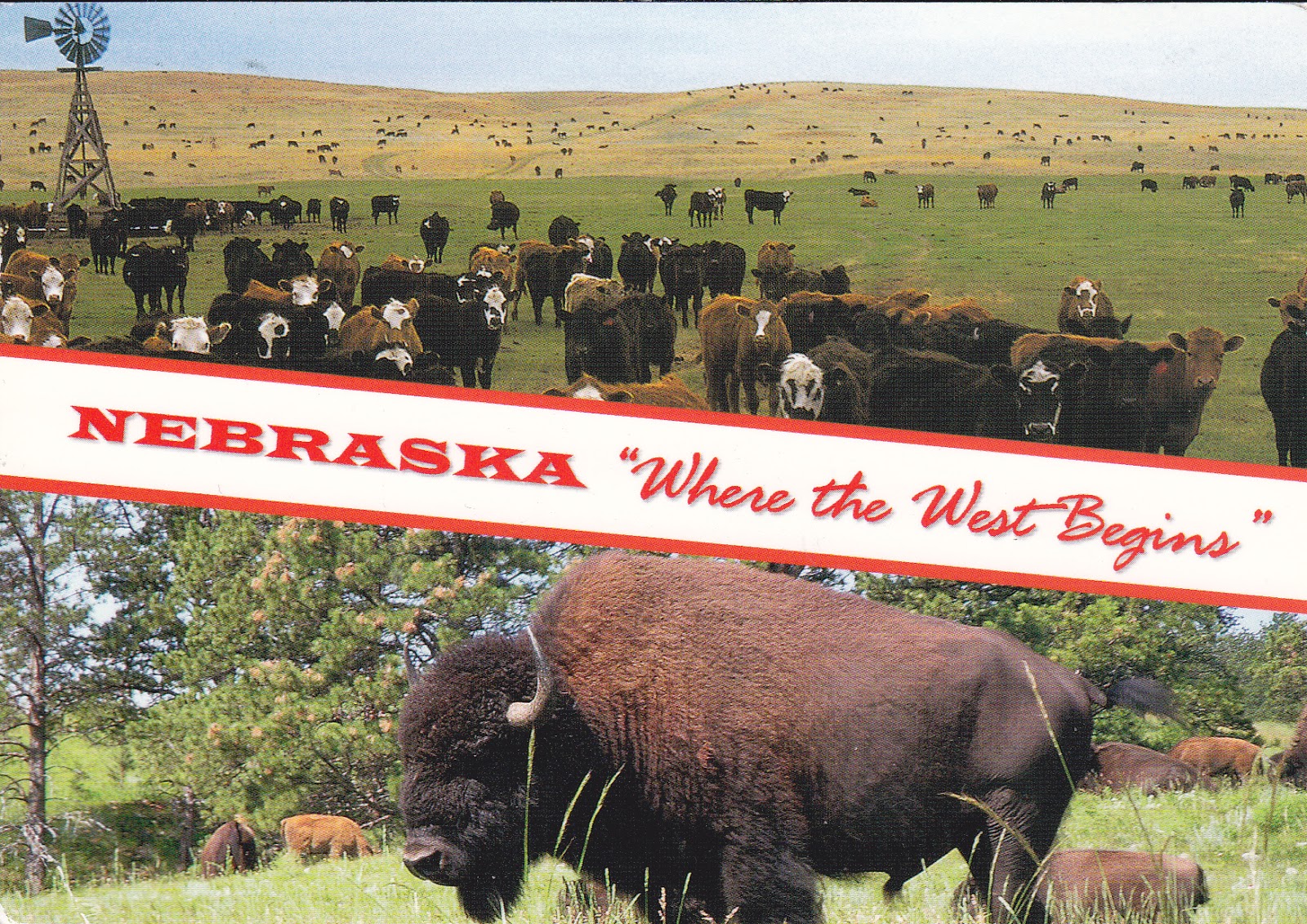 The Postcard Project Collecting the States 4 Nebraska