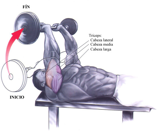 Ejercicios imprescindibles 4: Press Francés con Barra (triceps)