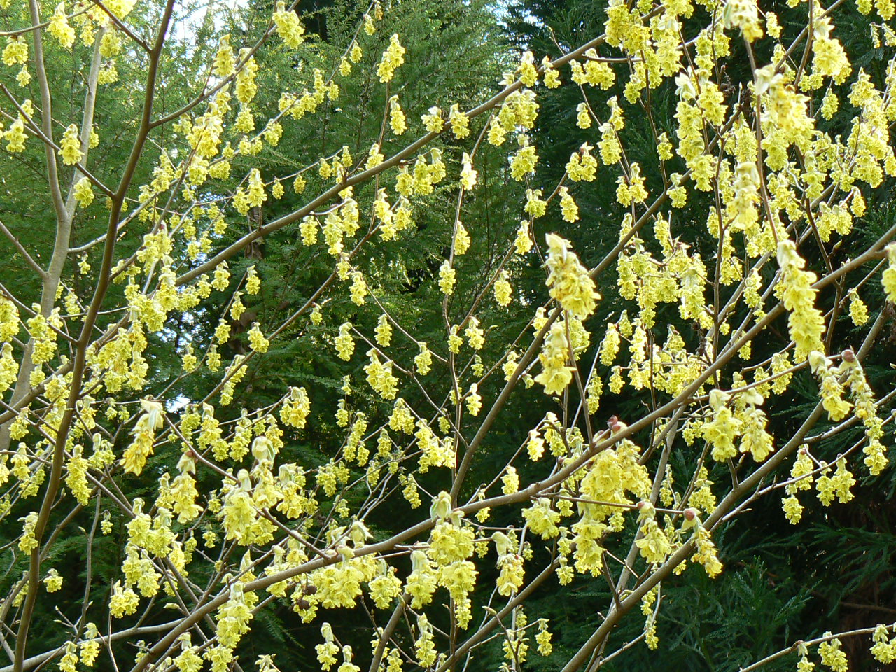 Garden World November 2011