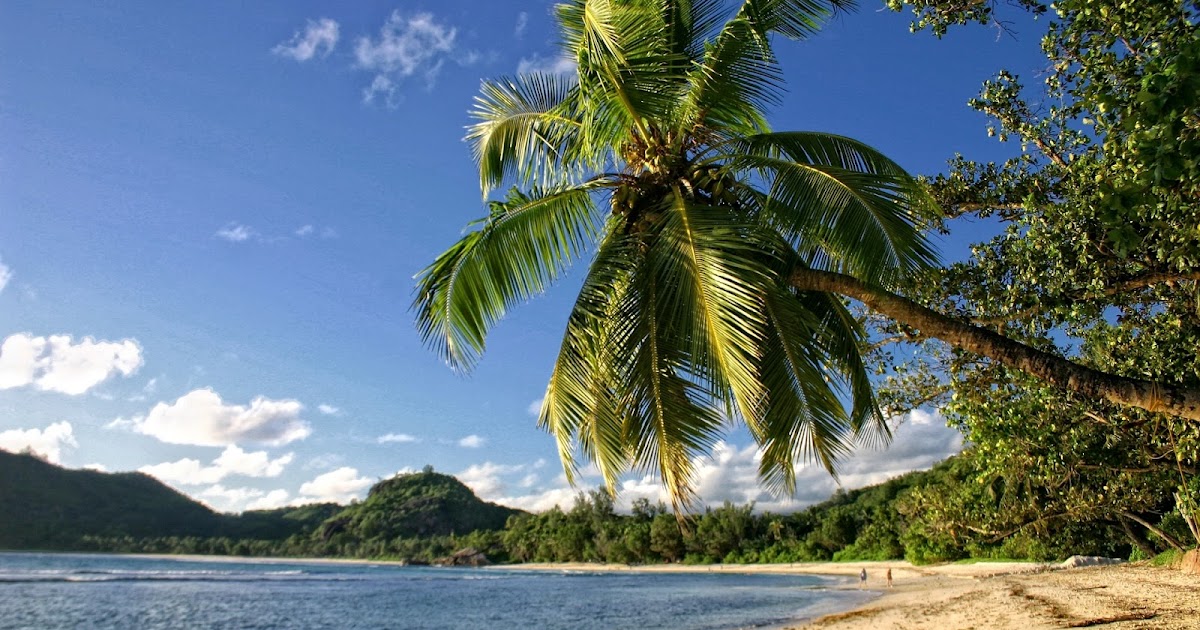 download modern sensors