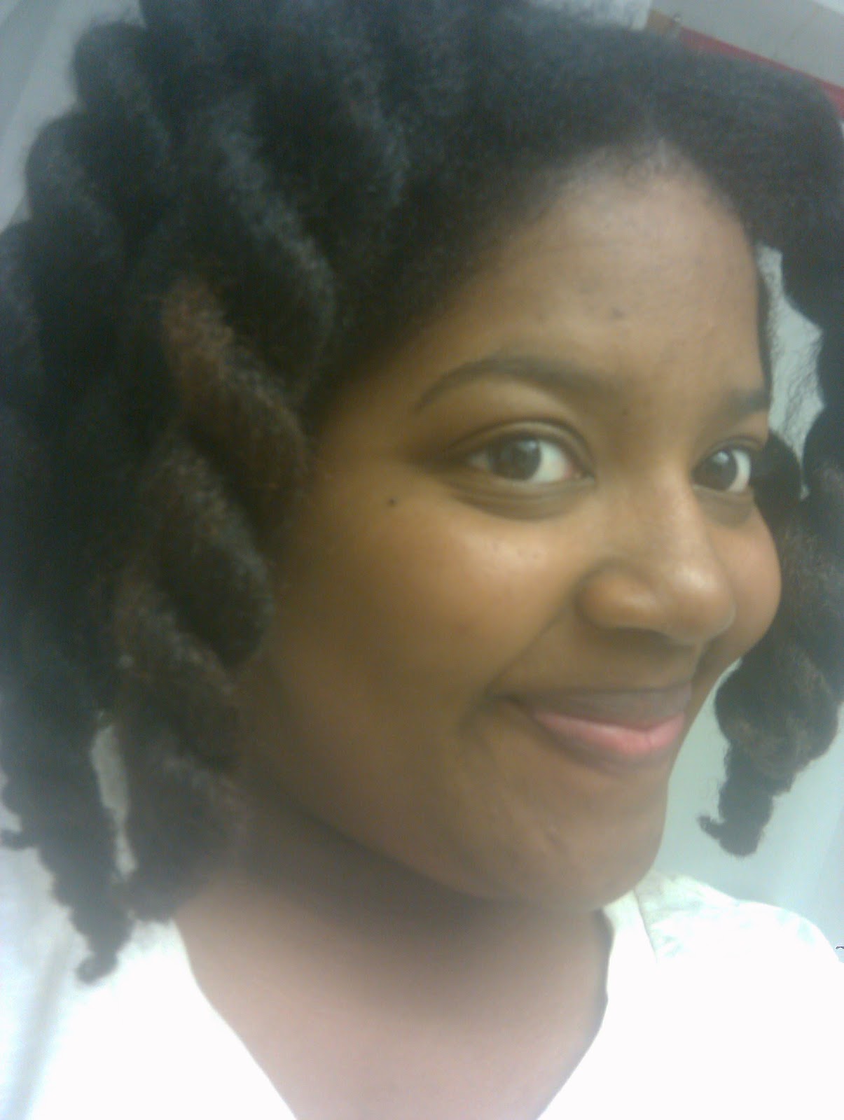 The Afro Chronicles Mini Twists With Beeswax