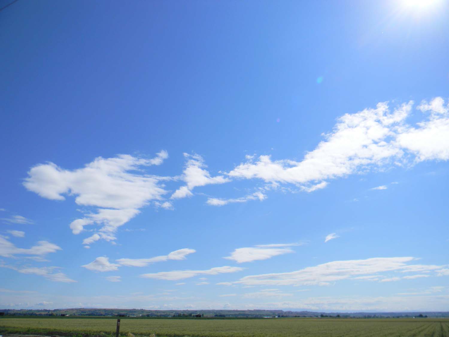 Owyhee Agriculture Summer Weather