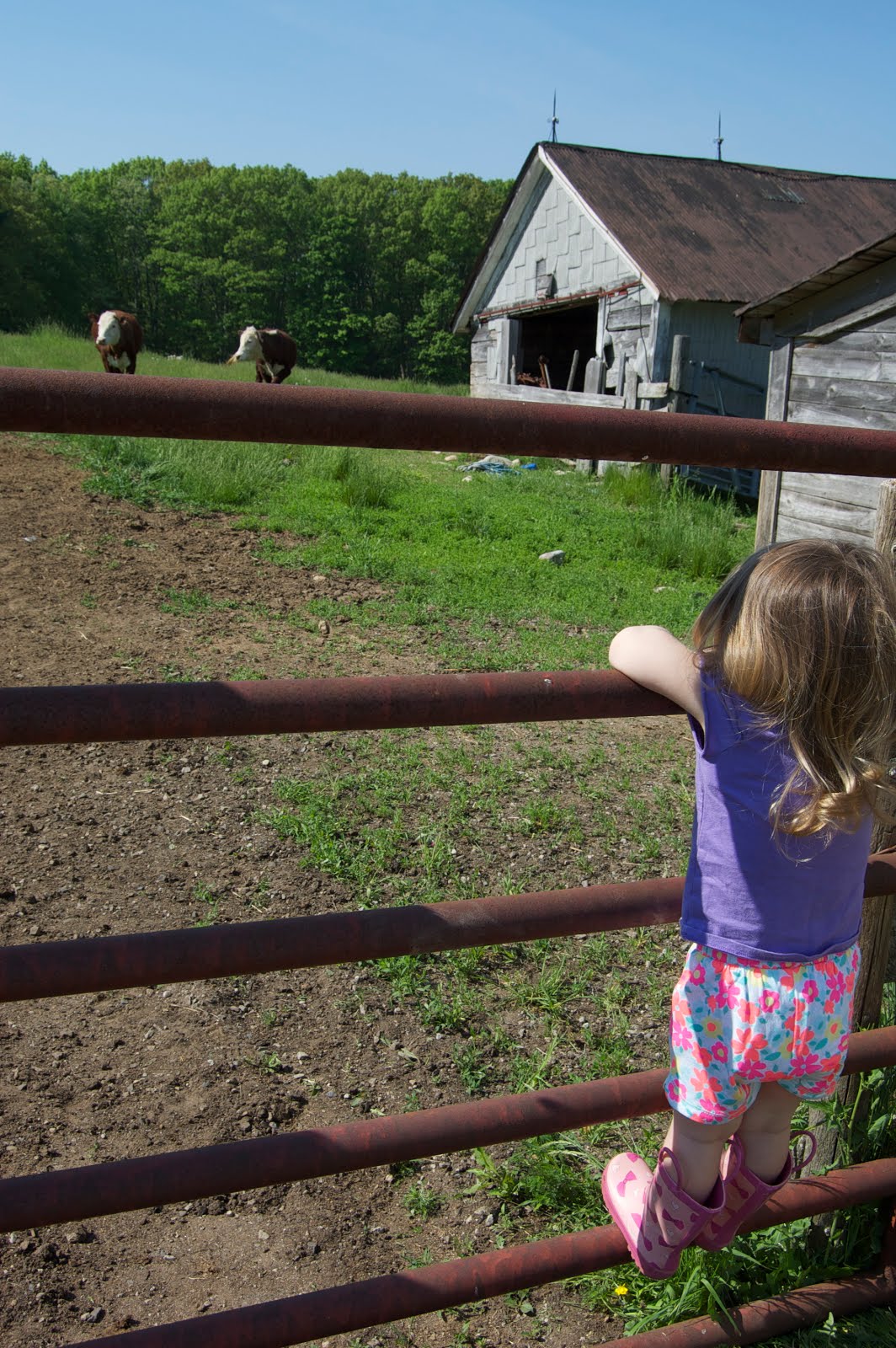 Farm Life