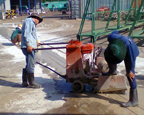 [Image: H%C3%ACnh0157.jpg]