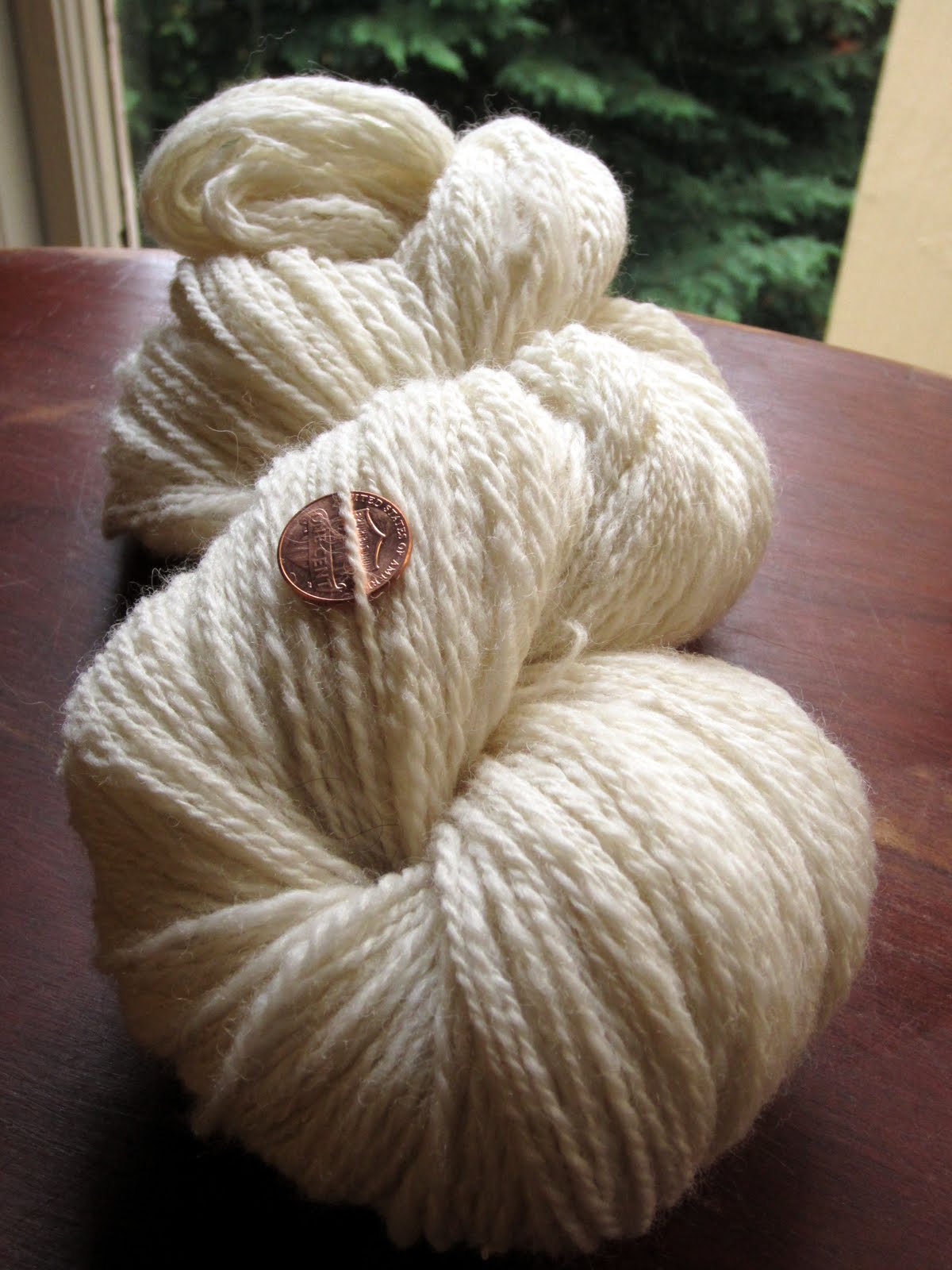 Spinning Polwarth (sheep's wool)