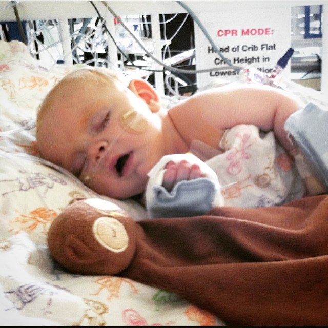 Hayden's Heart Glenn head