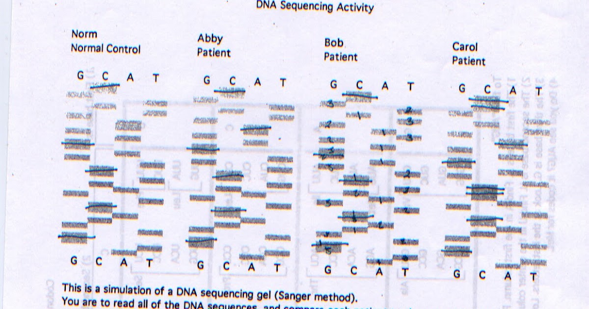 Kelsey's Biology Blog Old School DNA and GATTACA