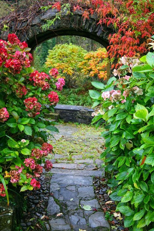 COASTALPINES: Secret Garden Archway {garden}